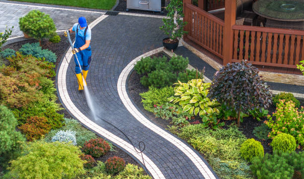 Best Eco-Friendly Pressure Washing in Wartburg, TN